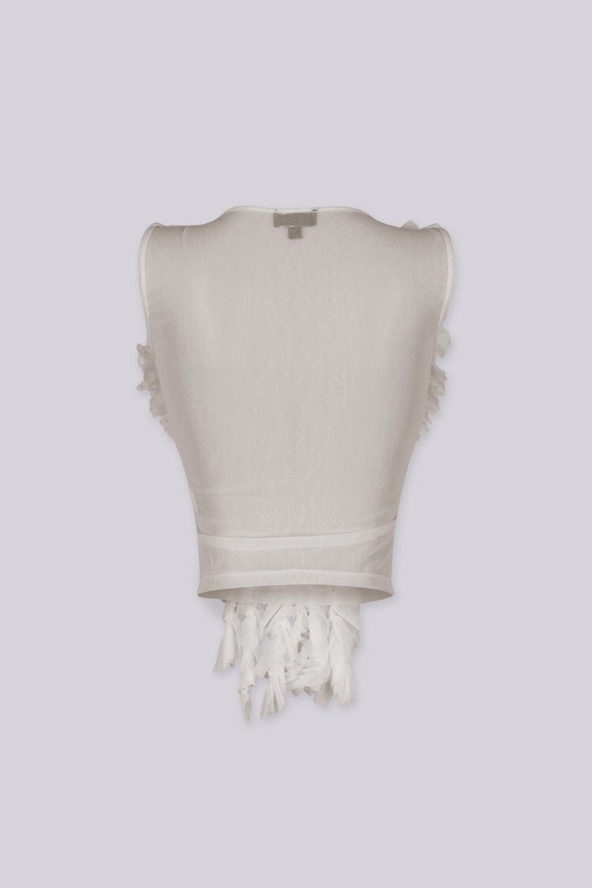 Rawness Sheer Blouse Top