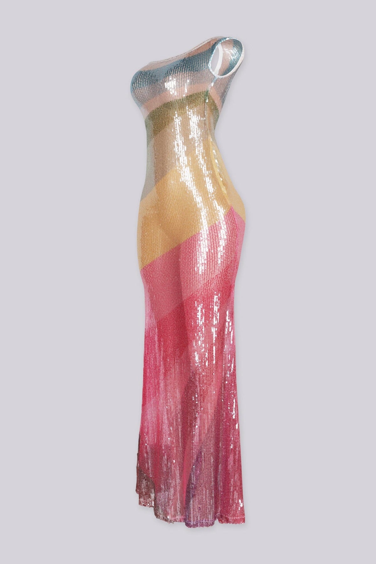 Rainbow Fish Maxi Dress
