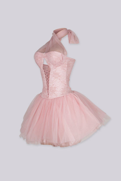 Ballerina Lace Corset Tulle Mini Dress